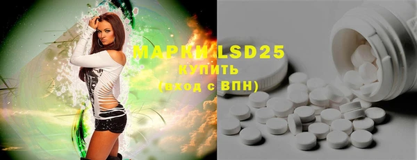 индика Белокуриха