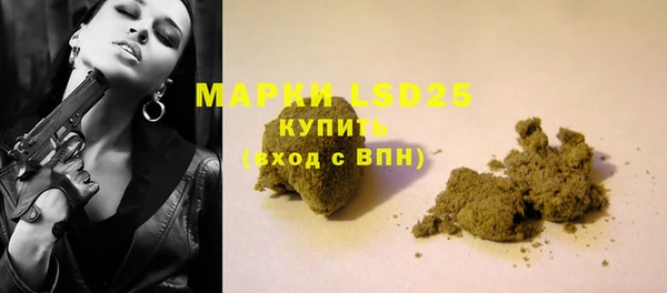 индика Белокуриха
