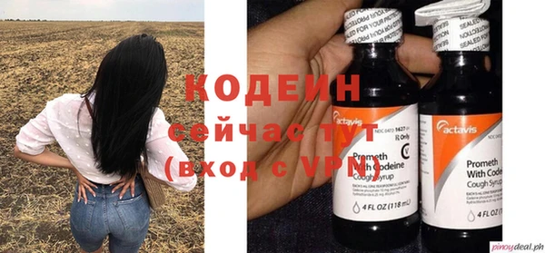 индика Белокуриха