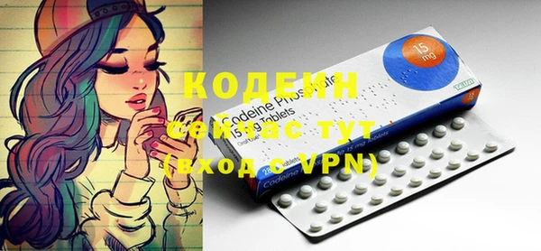 индика Белокуриха