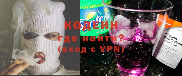 индика Белокуриха