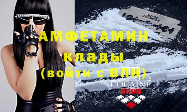 индика Белокуриха