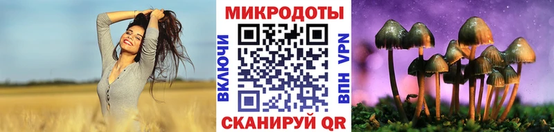 кракен зеркало  Курильск  darknet клад  Галлюциногенные грибы Psilocybine cubensis 