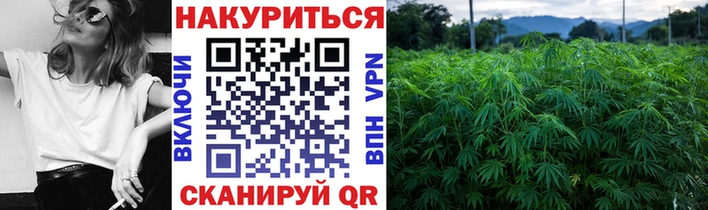Марихуана индика  продажа наркотиков  Курильск 
